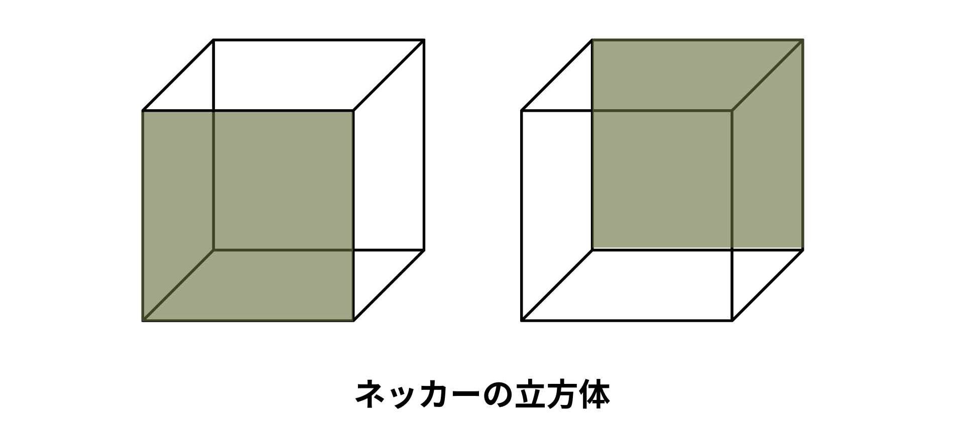 ネッカーの立方体