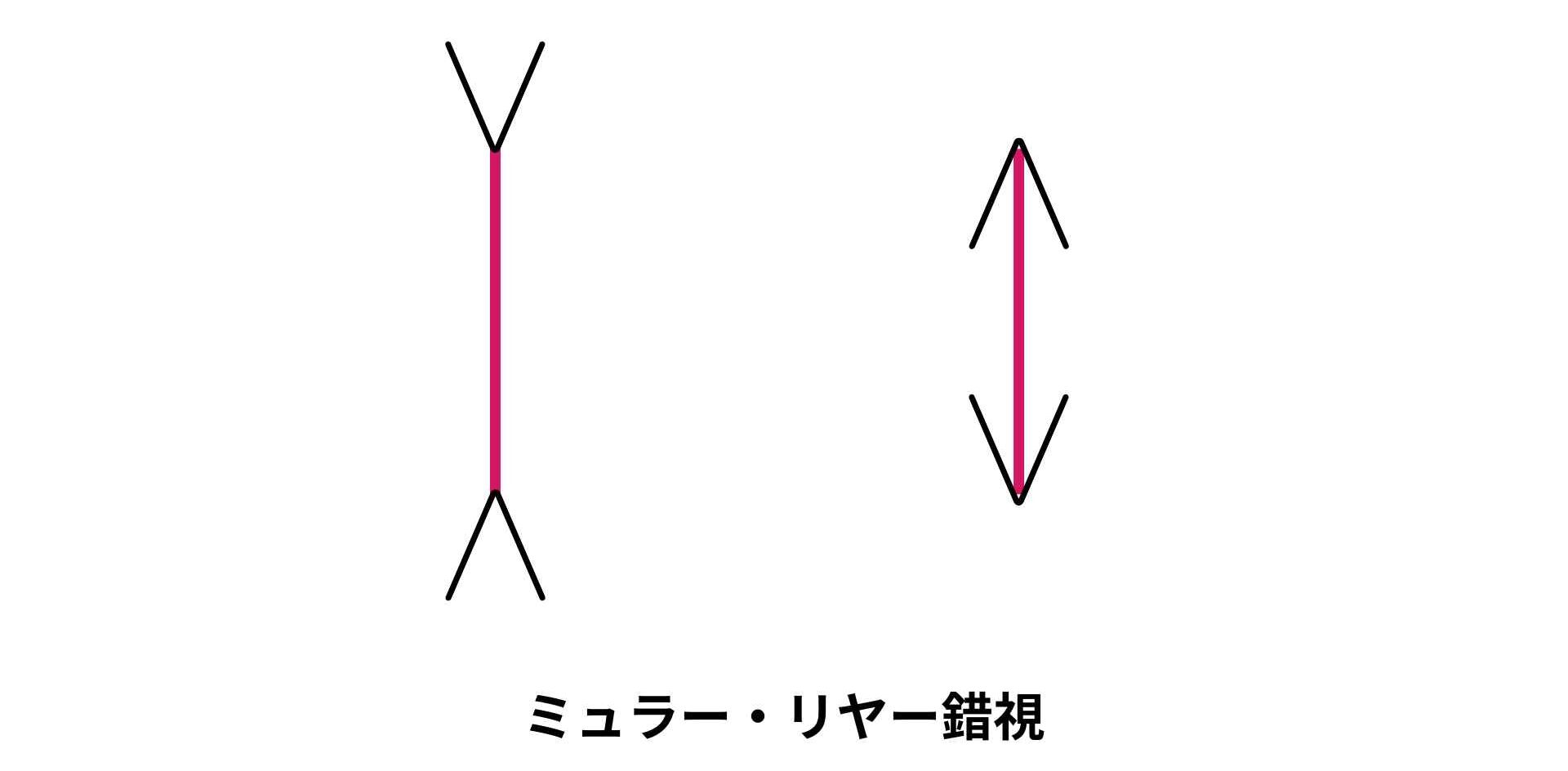 ミュラー・リヤー
